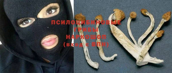 твердый Чегем