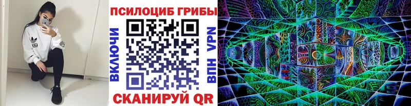 сколько стоит Малмыж Псилоцибиновые грибы MAGIC MUSHROOMS
